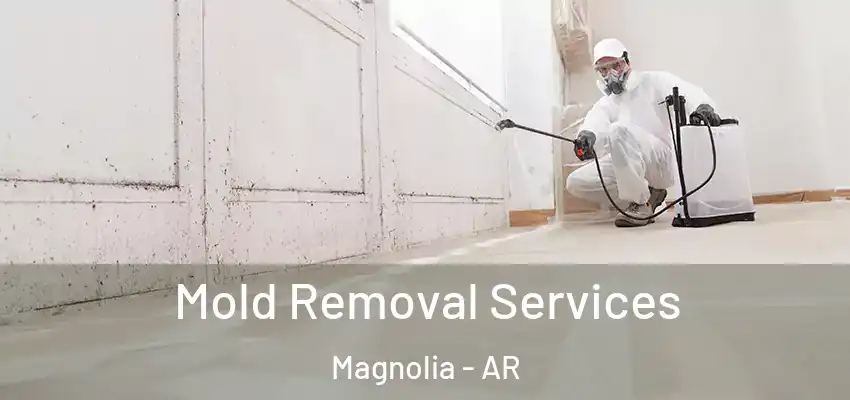  Mold Removal Services Magnolia - AR