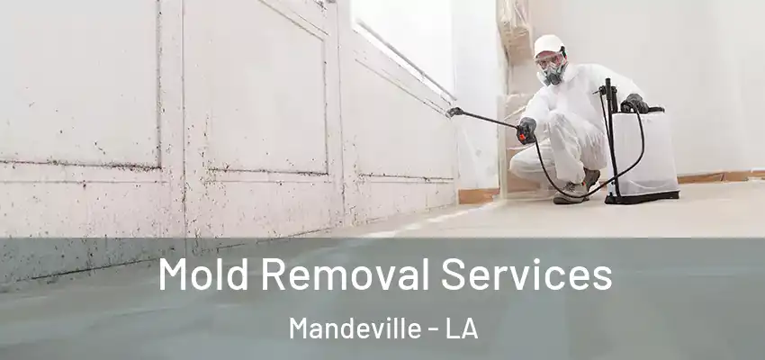  Mold Removal Services Mandeville - LA