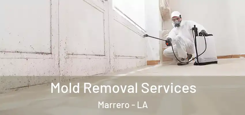  Mold Removal Services Marrero - LA