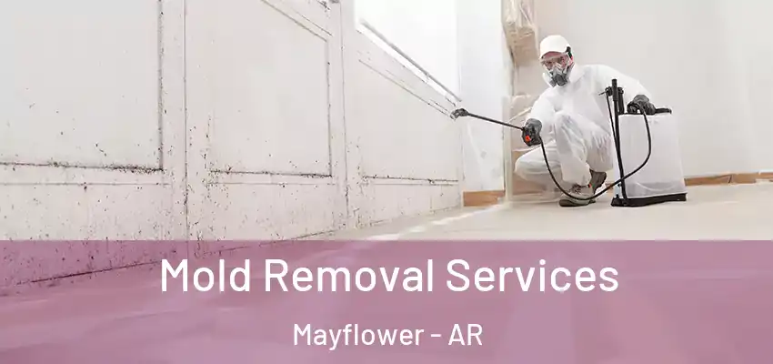  Mold Removal Services Mayflower - AR