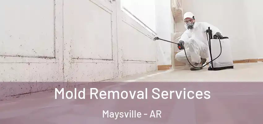  Mold Removal Services Maysville - AR