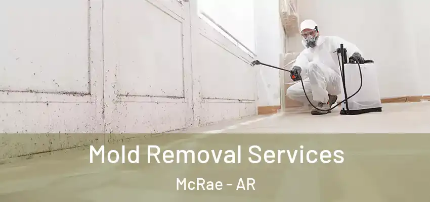  Mold Removal Services McRae - AR