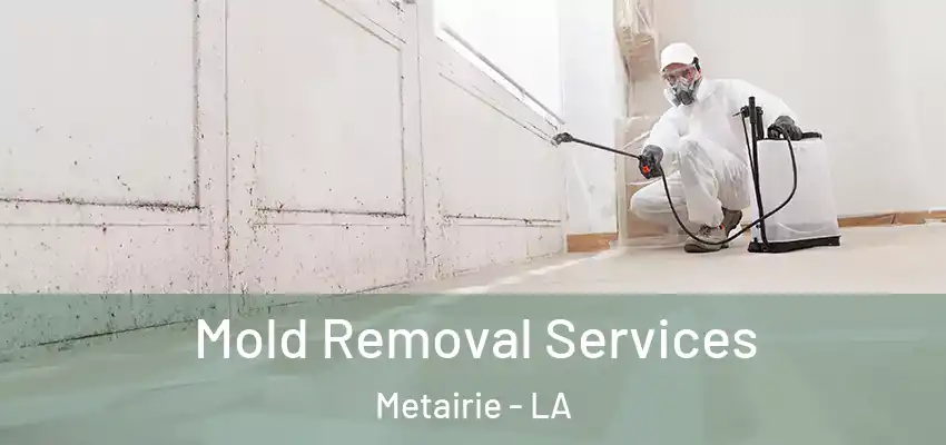  Mold Removal Services Metairie - LA