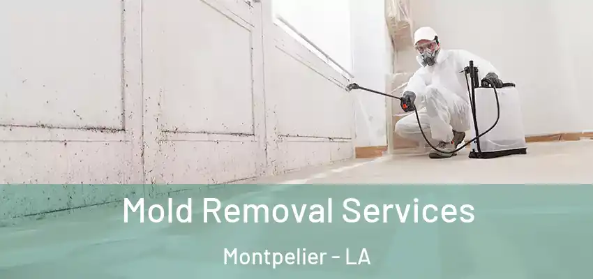 Mold Removal Services Montpelier - LA