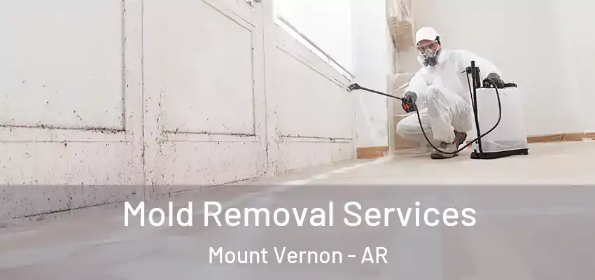  Mold Removal Services Mount Vernon - AR