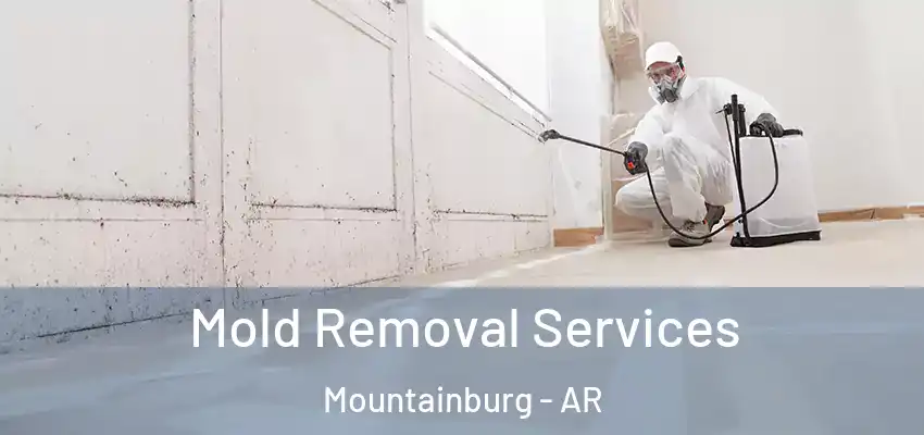  Mold Removal Services Mountainburg - AR