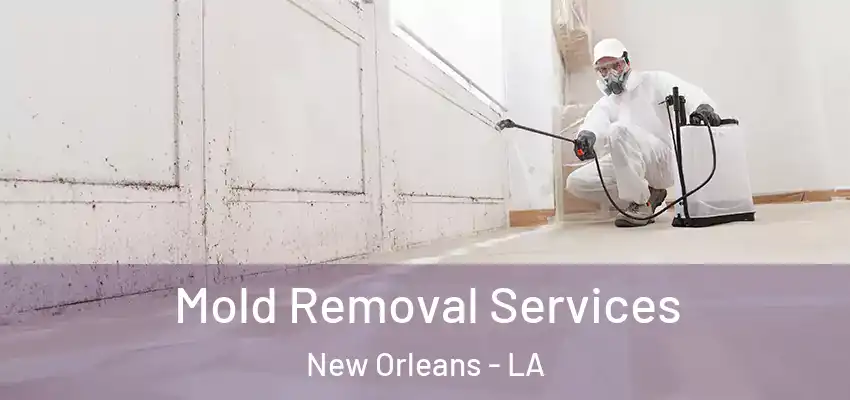  Mold Removal Services New Orleans - LA