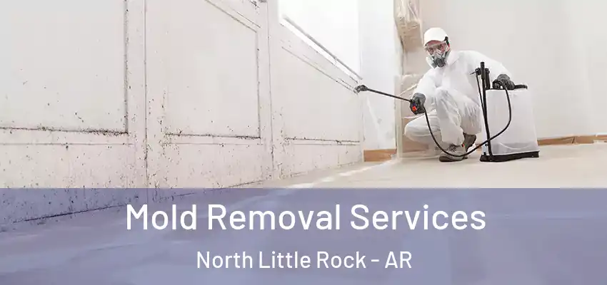 Mold Removal Services North Little Rock - AR