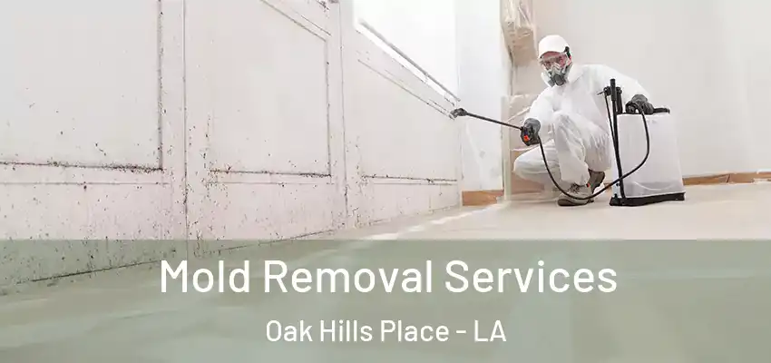  Mold Removal Services Oak Hills Place - LA