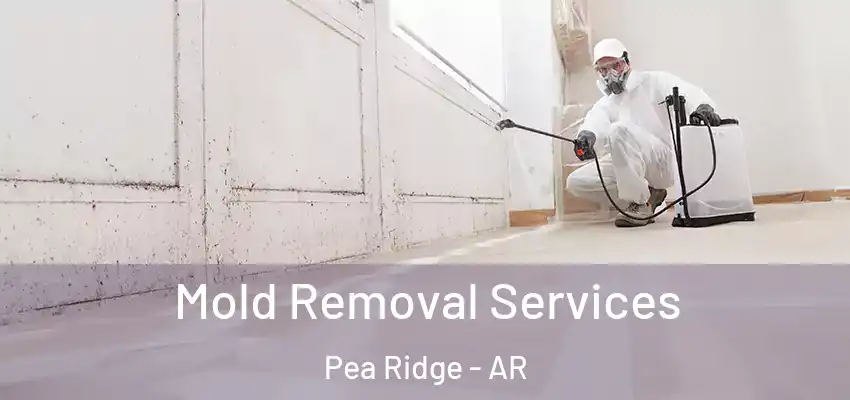  Mold Removal Services Pea Ridge - AR