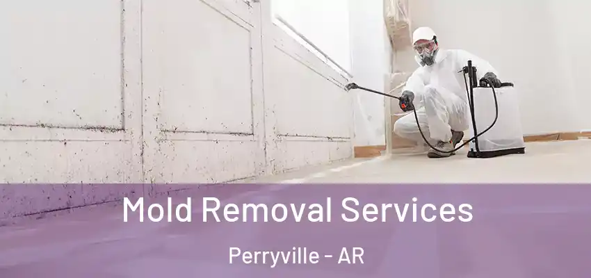  Mold Removal Services Perryville - AR