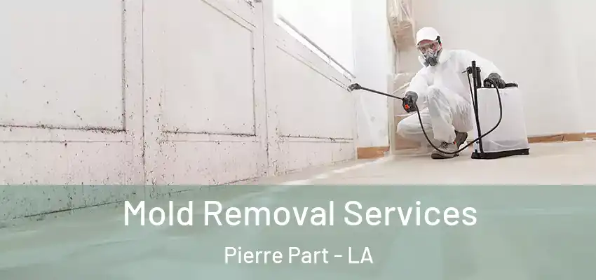  Mold Removal Services Pierre Part - LA