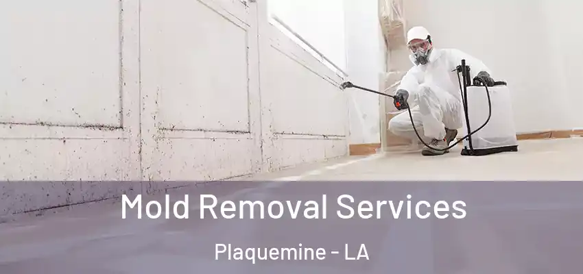  Mold Removal Services Plaquemine - LA