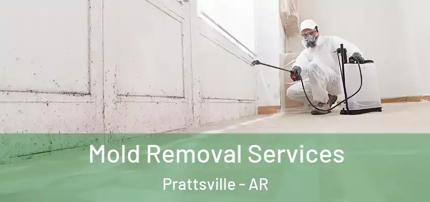  Mold Removal Services Prattsville - AR