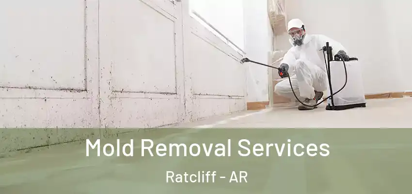 Mold Removal Services Ratcliff - AR