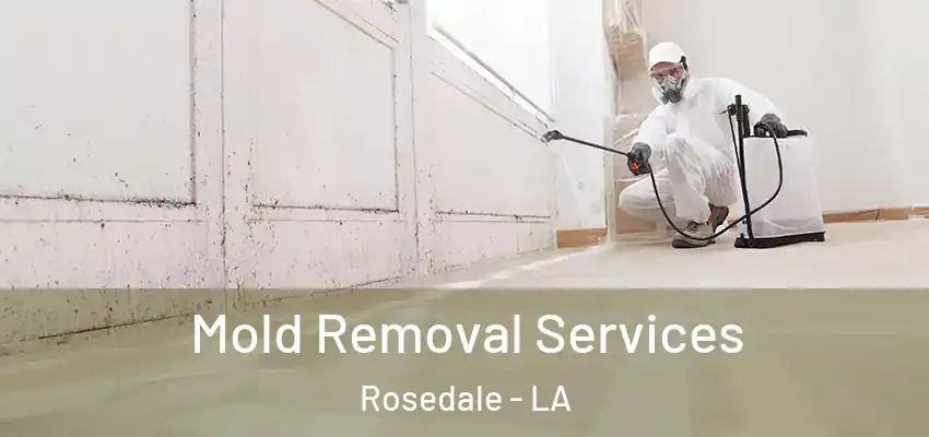  Mold Removal Services Rosedale - LA