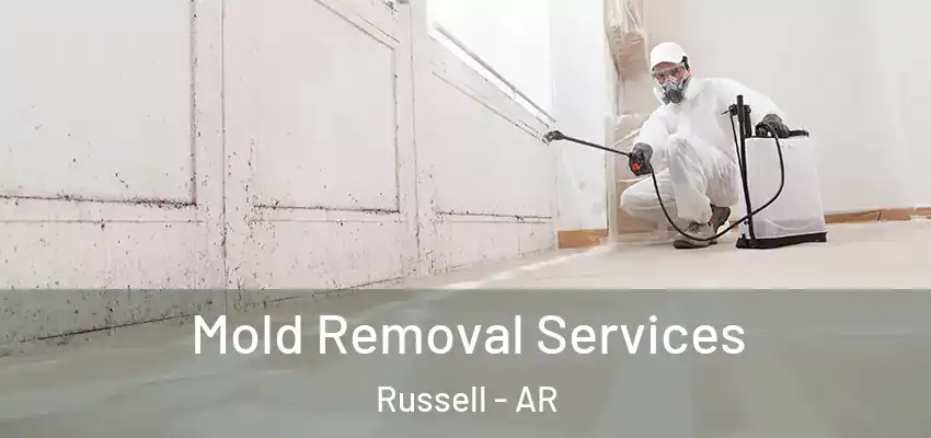  Mold Removal Services Russell - AR