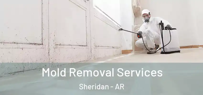 Mold Removal Services Sheridan - AR