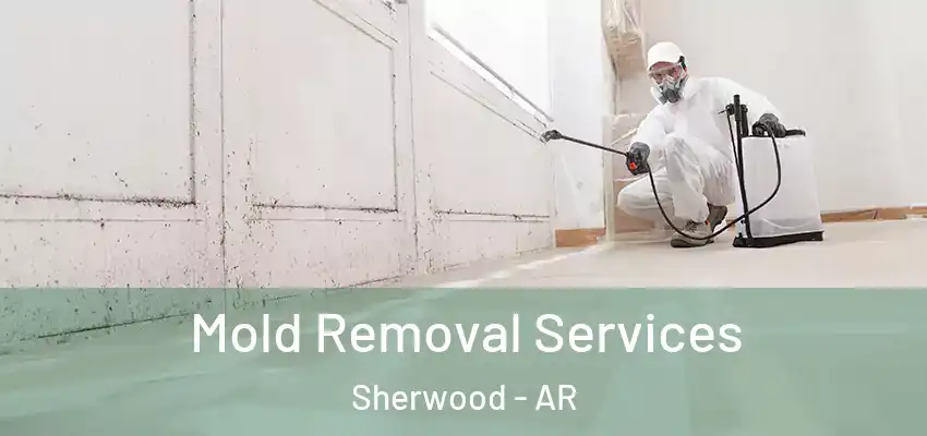  Mold Removal Services Sherwood - AR