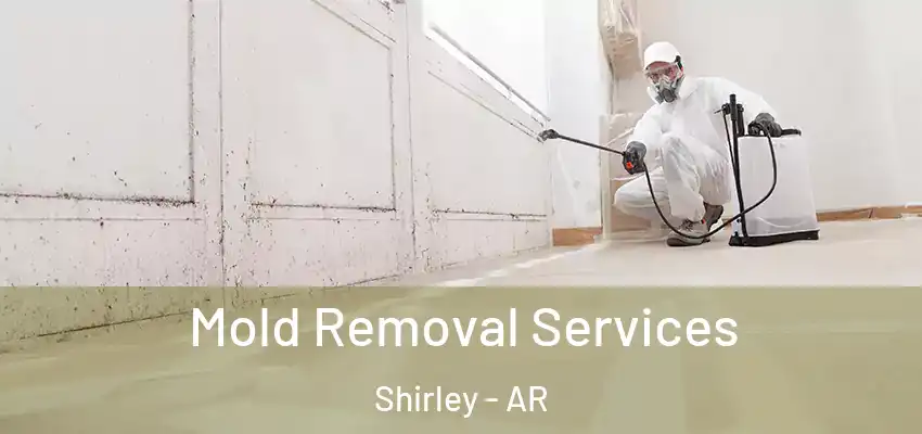  Mold Removal Services Shirley - AR