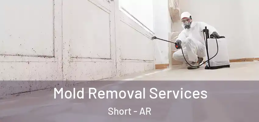  Mold Removal Services Short - AR