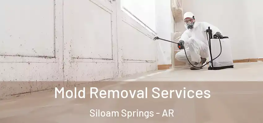 Mold Removal Services Siloam Springs - AR