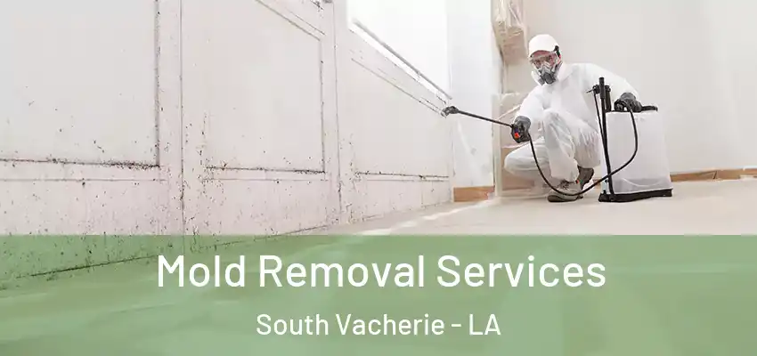  Mold Removal Services South Vacherie - LA