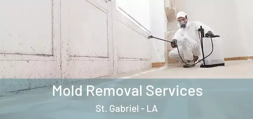 Mold Removal Services St. Gabriel - LA