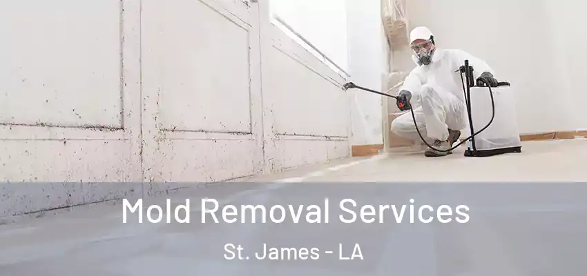  Mold Removal Services St. James - LA