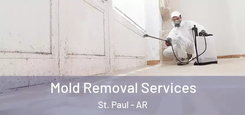  Mold Removal Services St. Paul - AR