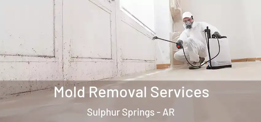  Mold Removal Services Sulphur Springs - AR