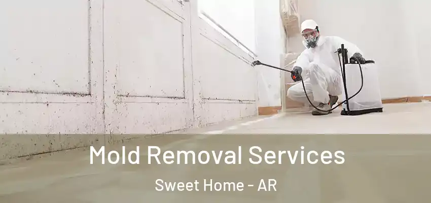  Mold Removal Services Sweet Home - AR