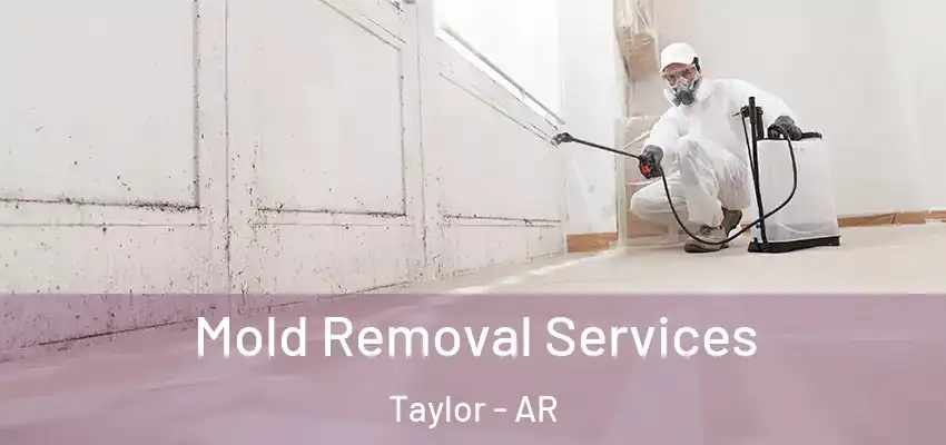  Mold Removal Services Taylor - AR