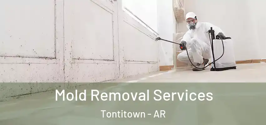  Mold Removal Services Tontitown - AR