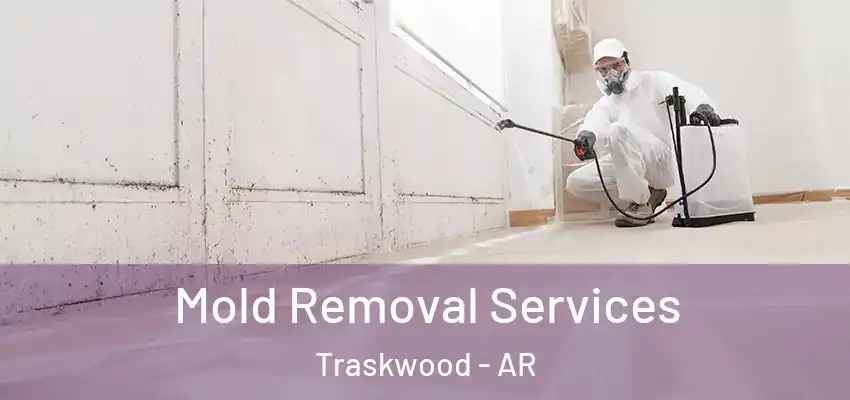  Mold Removal Services Traskwood - AR