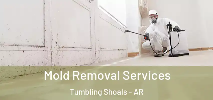  Mold Removal Services Tumbling Shoals - AR