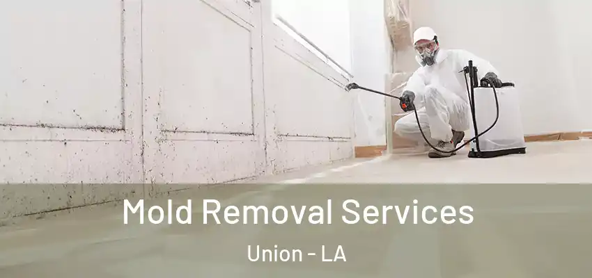  Mold Removal Services Union - LA