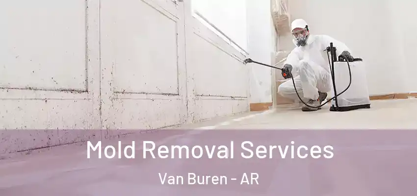 Mold Removal Services Van Buren - AR