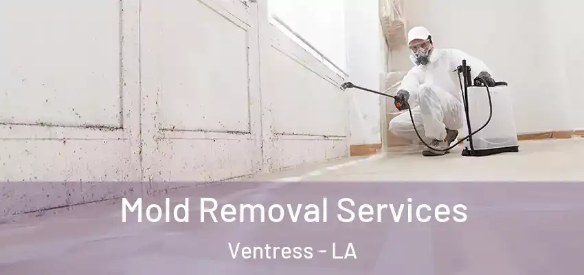  Mold Removal Services Ventress - LA