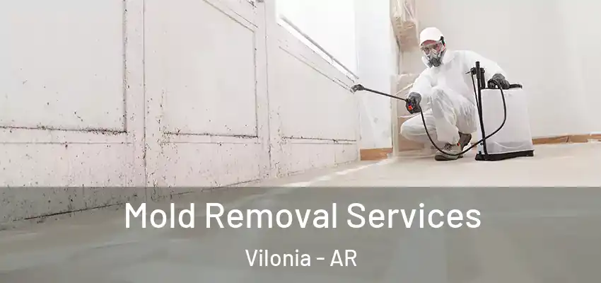  Mold Removal Services Vilonia - AR