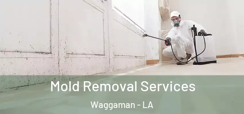 Mold Removal Services Waggaman - LA