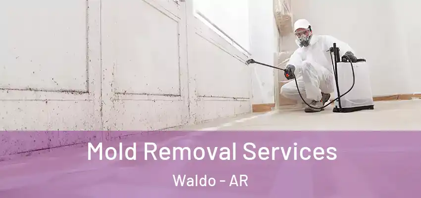  Mold Removal Services Waldo - AR