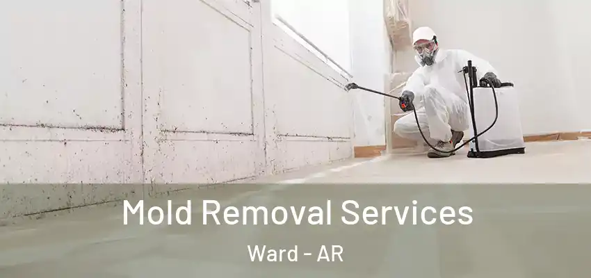  Mold Removal Services Ward - AR