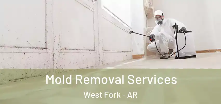 Mold Removal Services West Fork - AR