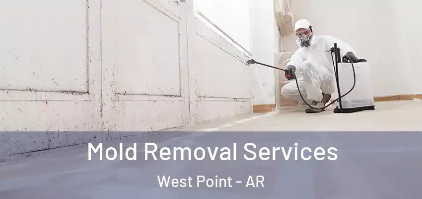  Mold Removal Services West Point - AR