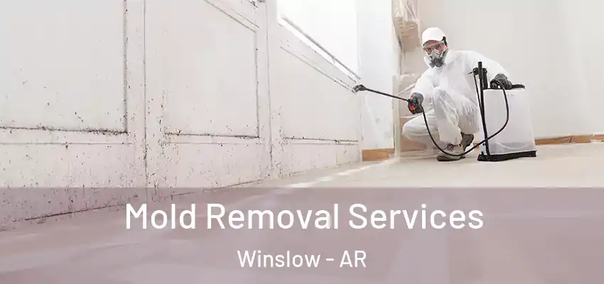  Mold Removal Services Winslow - AR