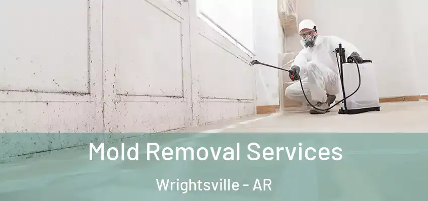  Mold Removal Services Wrightsville - AR