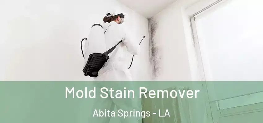  Mold Stain Remover Abita Springs - LA