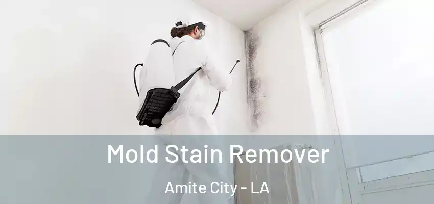  Mold Stain Remover Amite City - LA