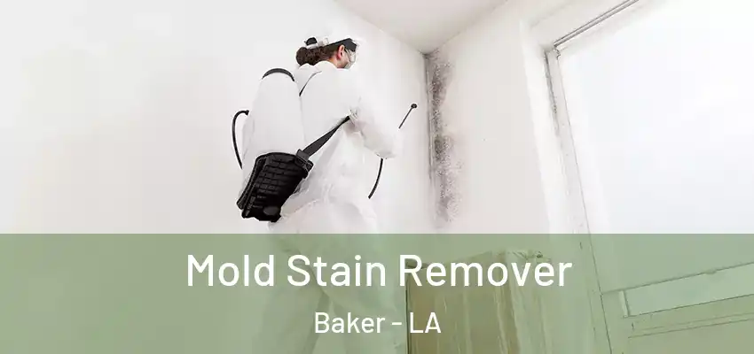 Mold Stain Remover Baker - LA